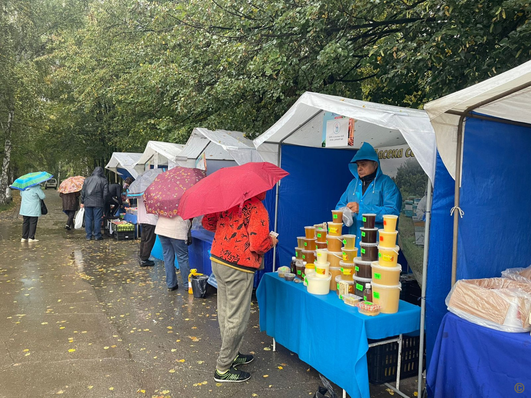 Продовольственная ярмарка барнаул. Продовольственные ярмарки Барнаул фото.