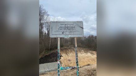 В Воронеже строители дороги Шишкова-Тимирязева уничтожили проход в дендрарий