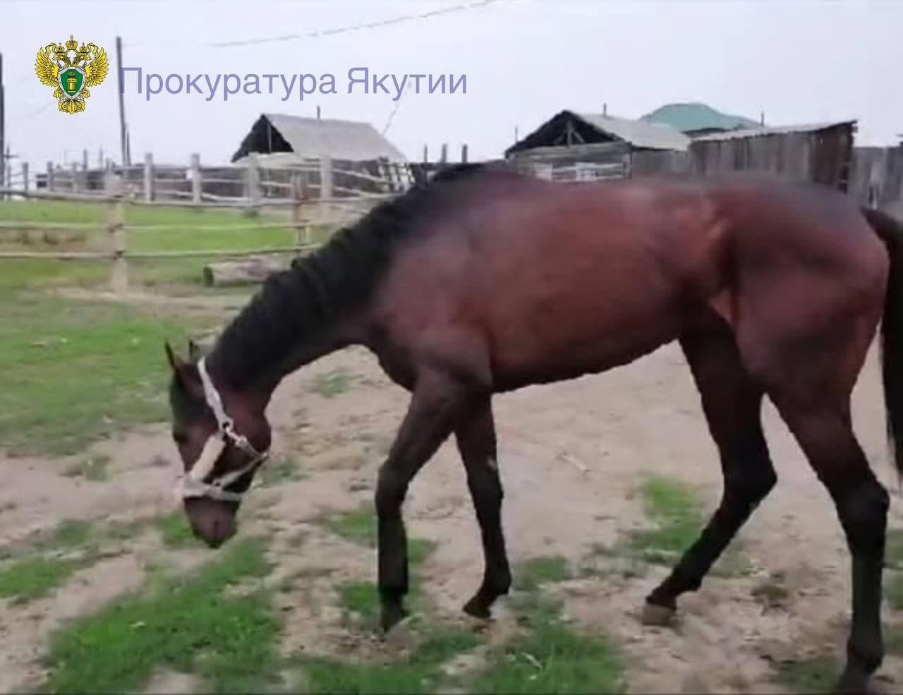 Экс-первого замглавы Таттинского улуса будут судить второй раз