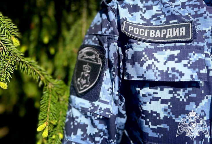 В Московской области сотрудники Росгвардии задержали нетрезвого водителя (видео)