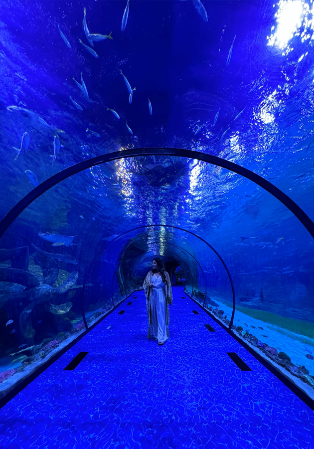 SeaWorld Abu Dhabi