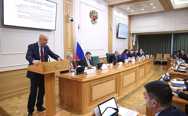 Заседание Комитета Совета Федерации по бюджету и финансовым рынкам