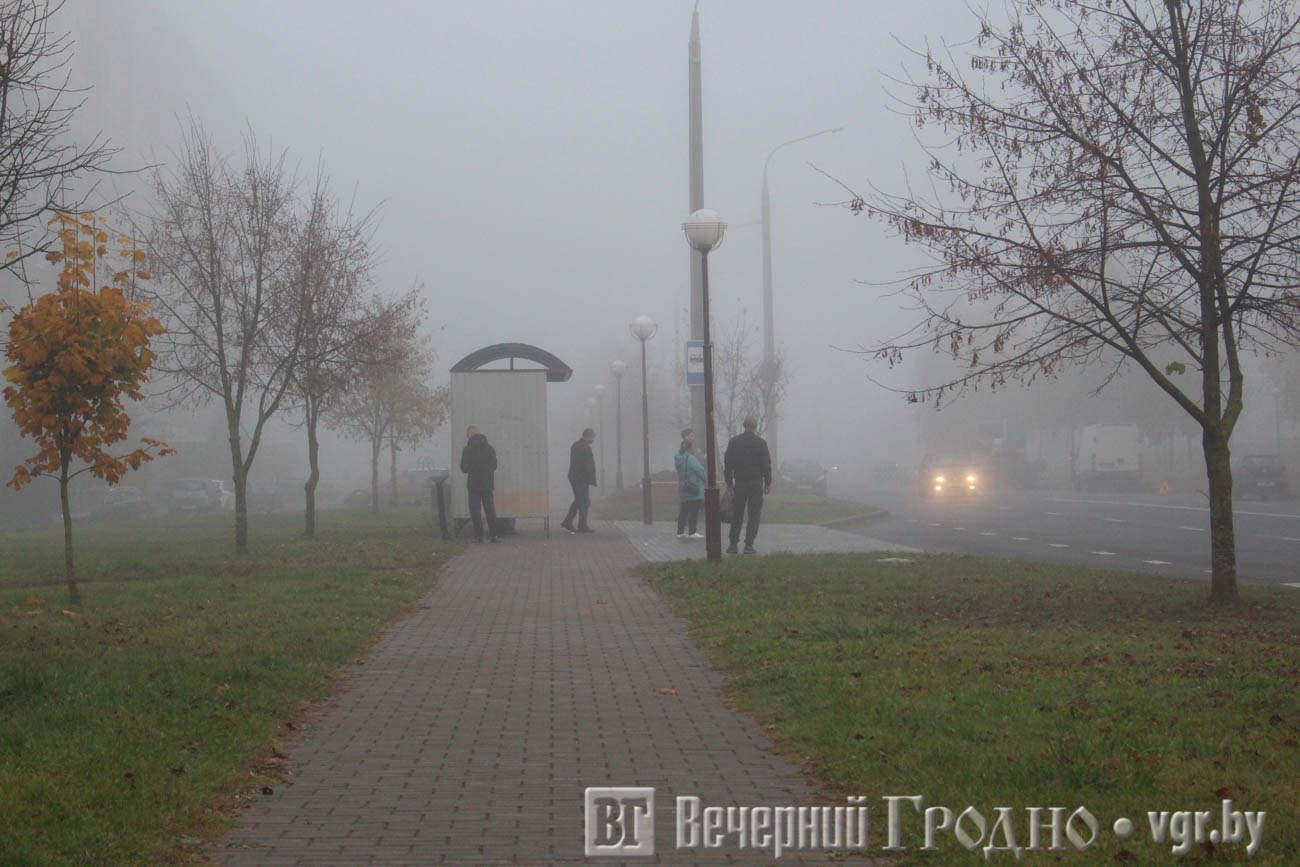 коложский парк гродно