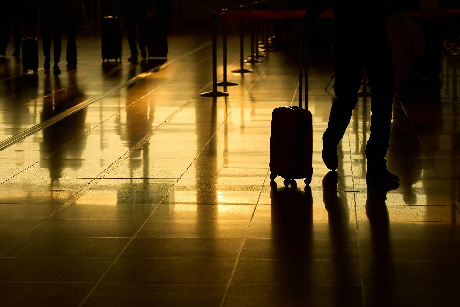 Контрабанда наличных и запрещенных веществ: как работают таможенные службы Северо-Запада России | ФОТО Buddy AN on Unsplash