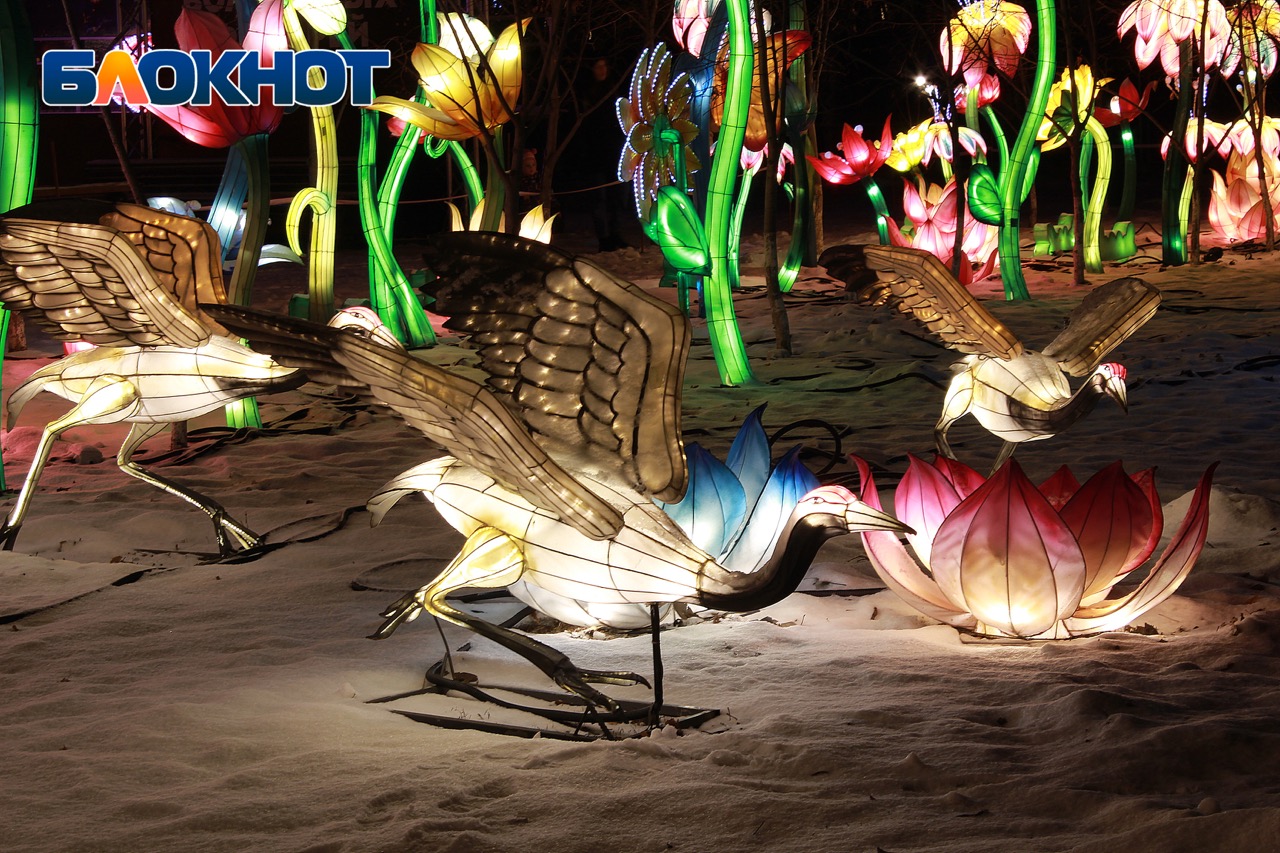 сказочный сквер. парк волшебных фонарей. зимняя сказка в городе. парк волшебных фонарей. страна волшебных фонарей.