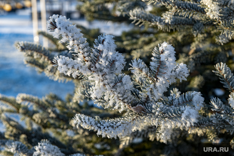 Сильный мороз в москве. Зимний пейзаж. 15 февраля мороз. Сильный мороз в москве. 15 февраля мороз.