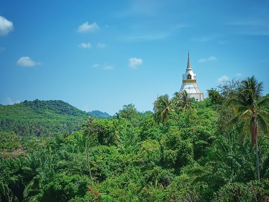 Весновка в Таиланде 2024, часть 10