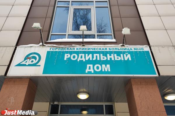 В Свердловской области за неделю родились 12 пар близнецов - Фото 1