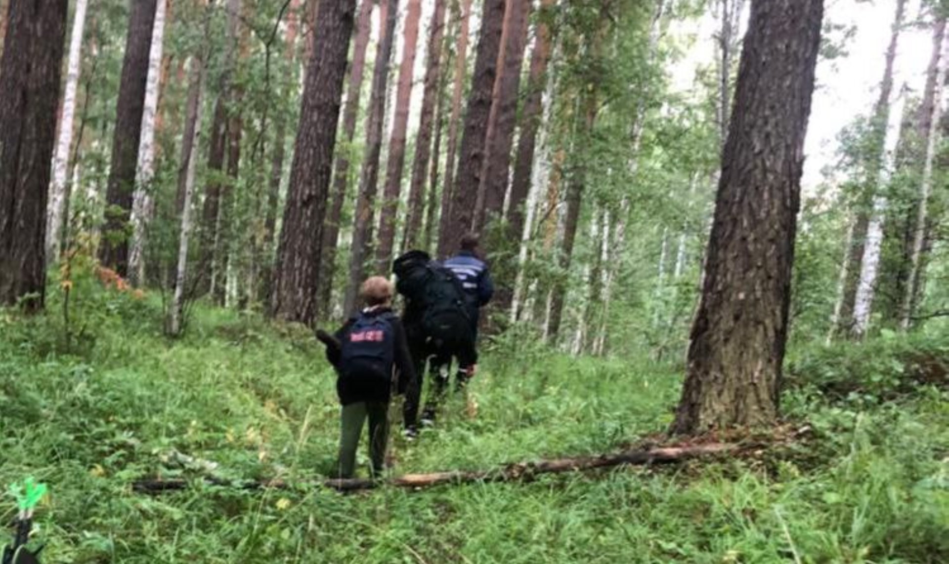 Можно ли сейчас в лесу. Заблудился в лесу. Женщина потерялась в лесу. Человек потерялся в лесу. Спасатели в лесу.