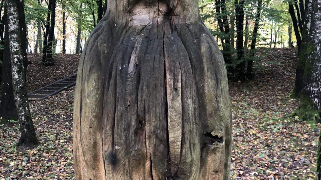 УХОДЯЩАЯ ОСЕНЬ В ПАРКЕ КРЕТИНГИ