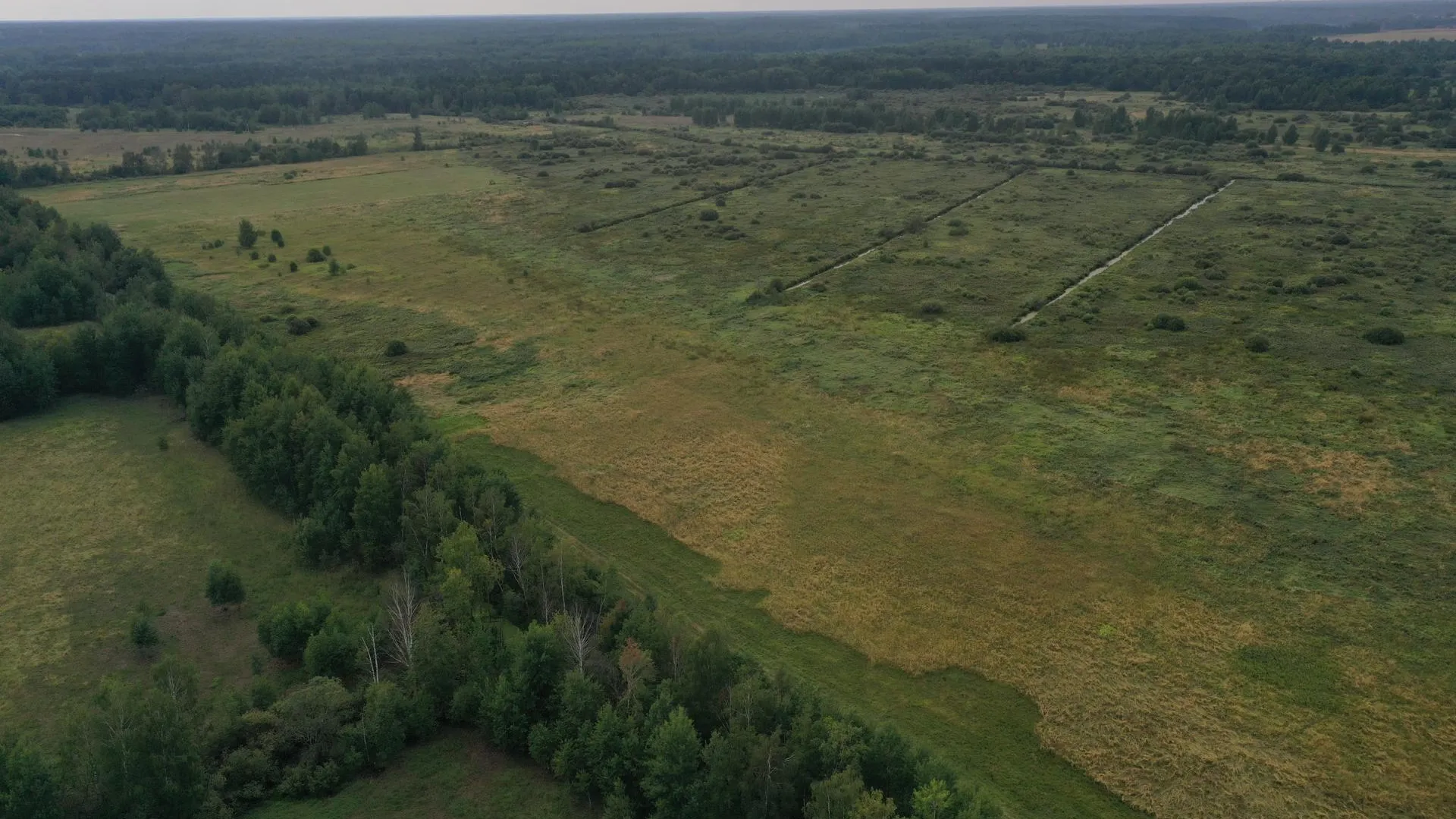 планета земля на белом фоне. деревня торбеево. участок 40 соток в метрах. планета земля информация. когда земля заменит.