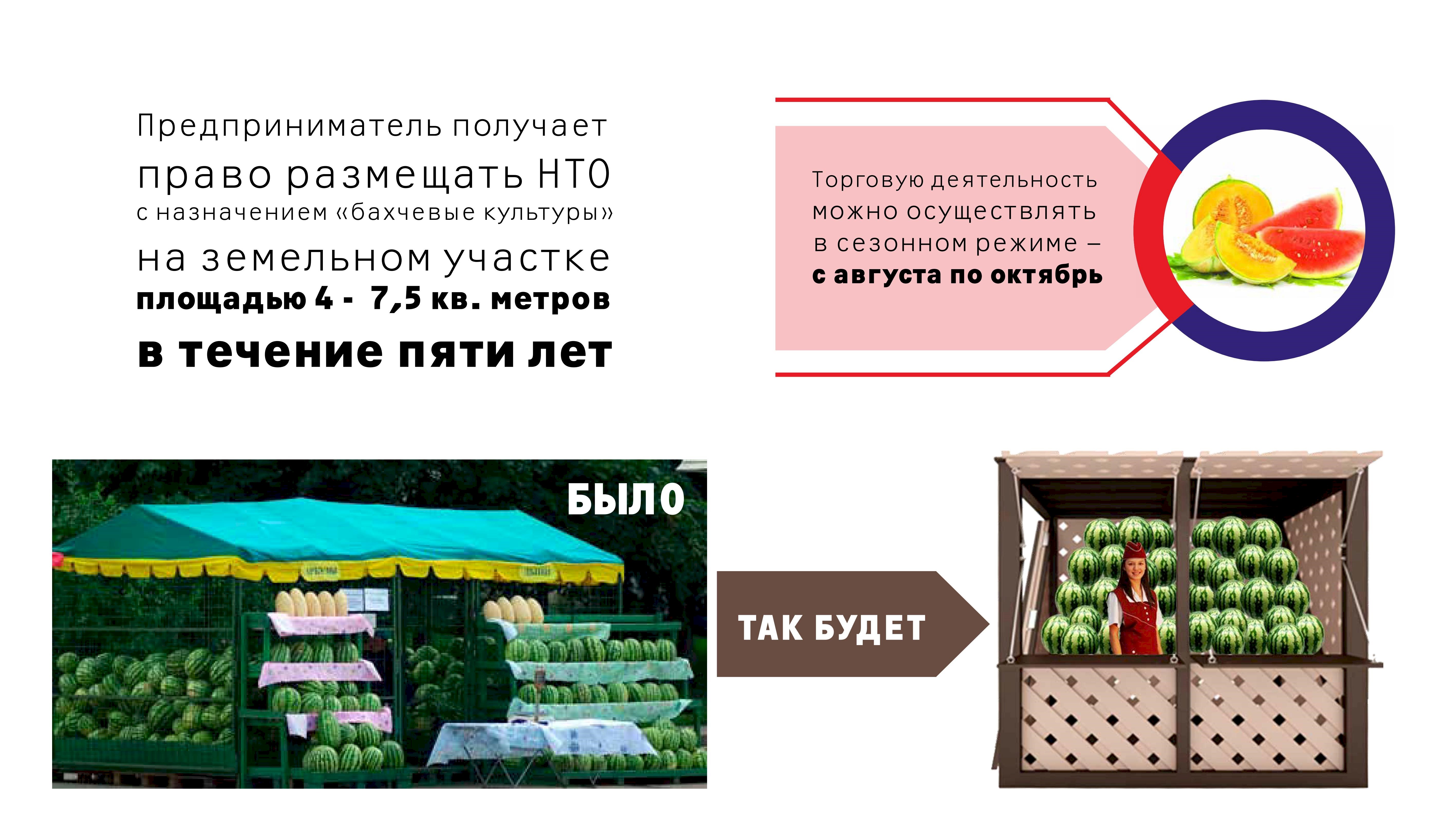 Хранение бахчевых культур непосредственно на земле ответ. Овощи и бахчевые культуры. Бахчевой развал НТО. Бахчевой развал баннер. Бахчевой развал арт Маркет.