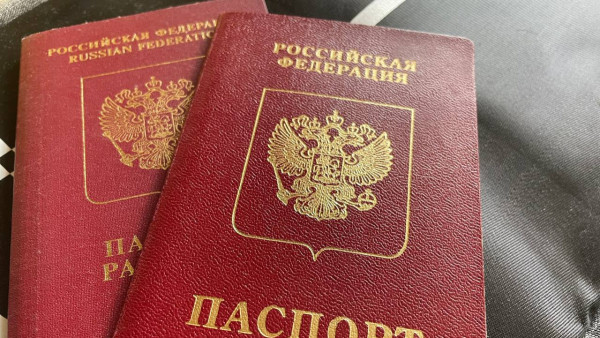 26-летний сызранский мошенник 