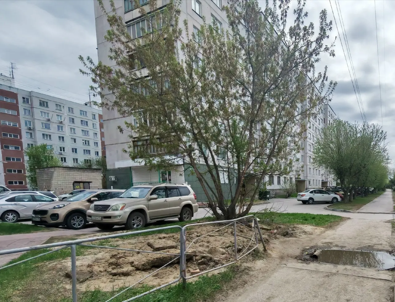 Комплекс «ПаркНет» зафиксировал десятки нарушений в Советском районе