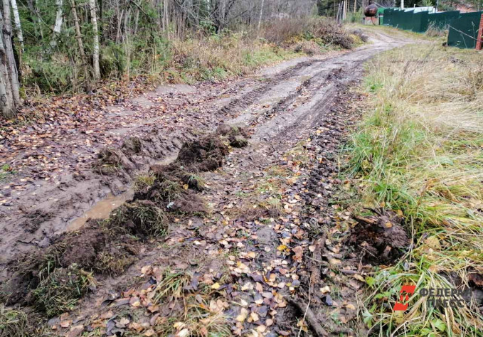 В Тюменской области многодетным семьям выдали земельные участки без дороги к ним