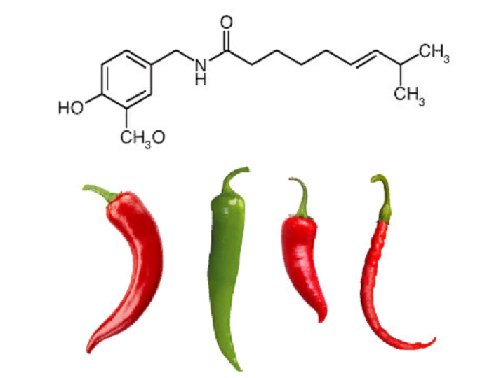 Капсаицин что это. Капсаицин в перце Чили. Чистый капсаицин. Pure Capsaicin перец. Капсаицин вещество.