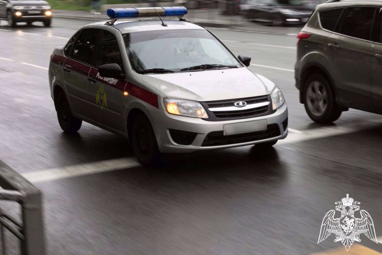 17 правонарушений пресекли сотрудники Росгвардии в Костромской области