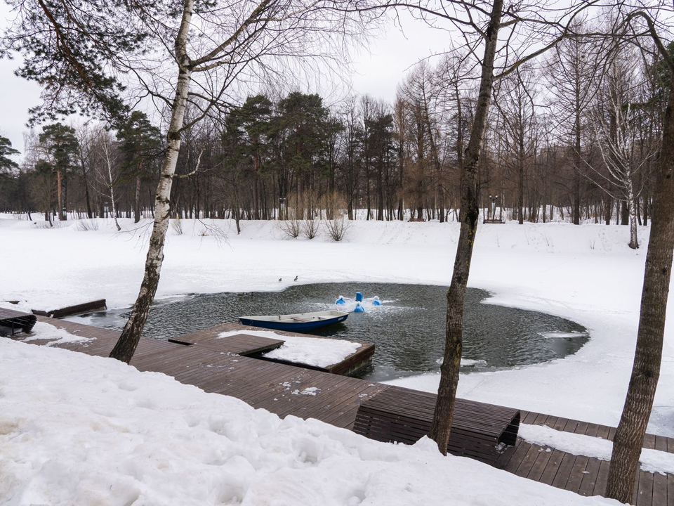 Фото: медиасток.рф