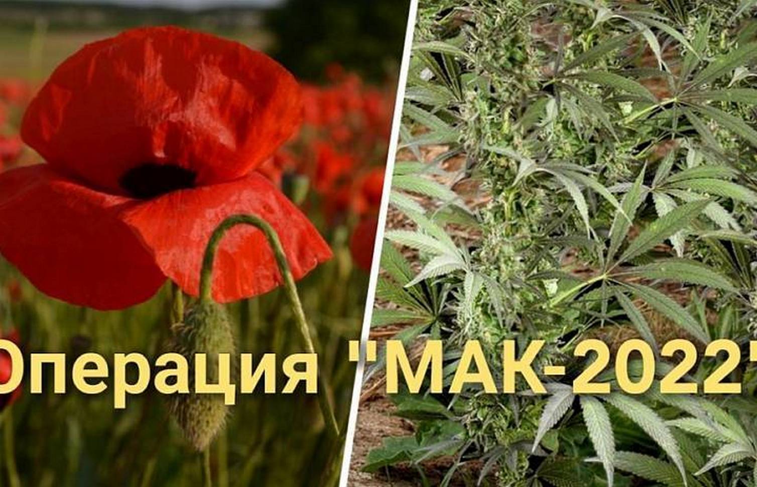 Нужен ли мак