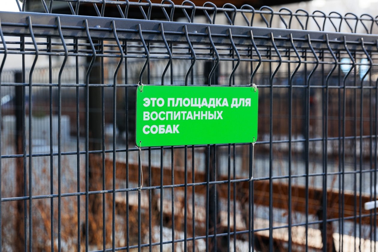 Площадка для выгула собак у ЖК "Зелёный Бульвар" Яна Гайдук, ИА PrimaMedia