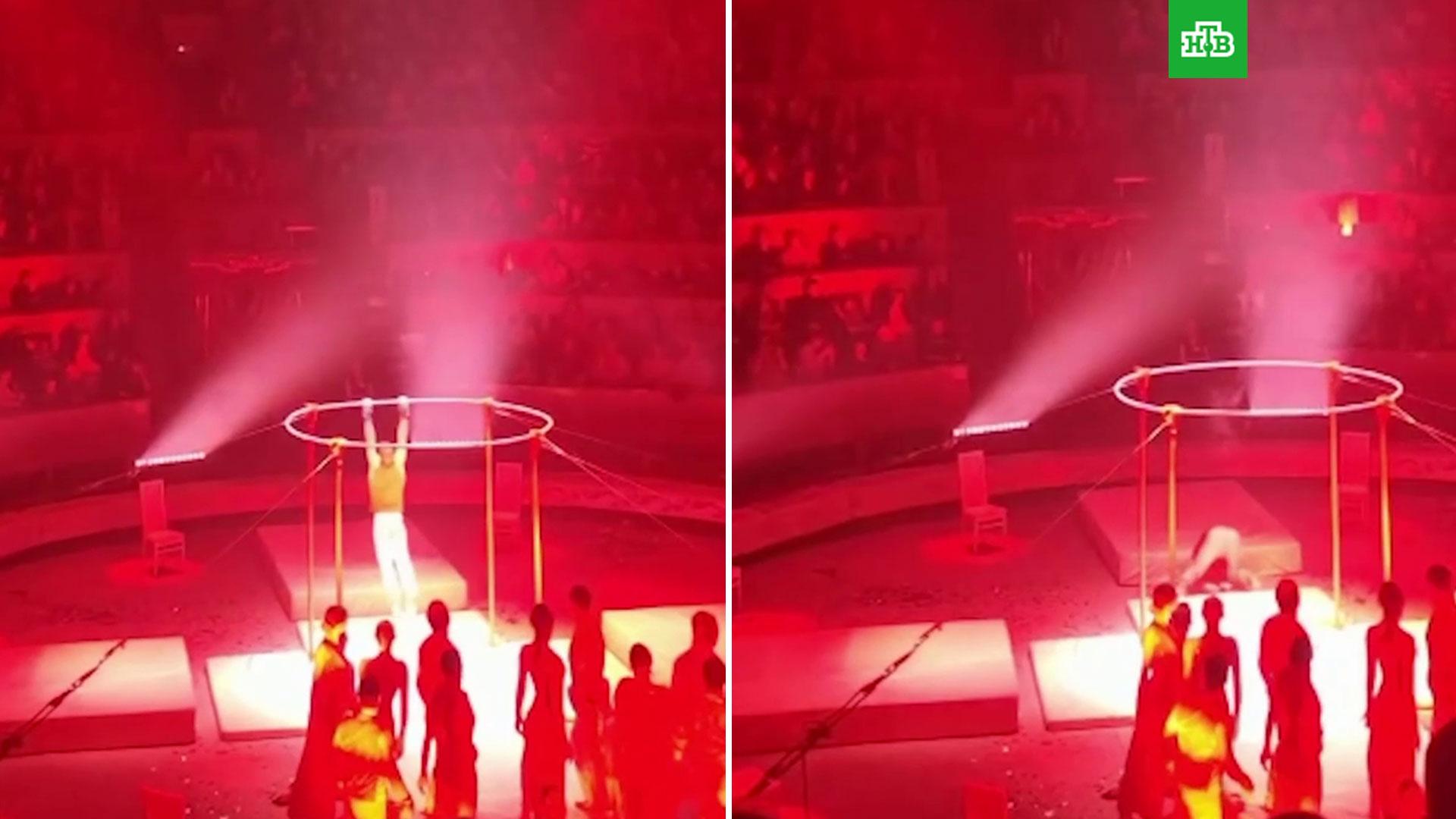 гимнастка в новосибирском цирке. артисты цирка. цирковые акробаты. акробатка под куполом цирка. гимнастка в новосибирском цирке.