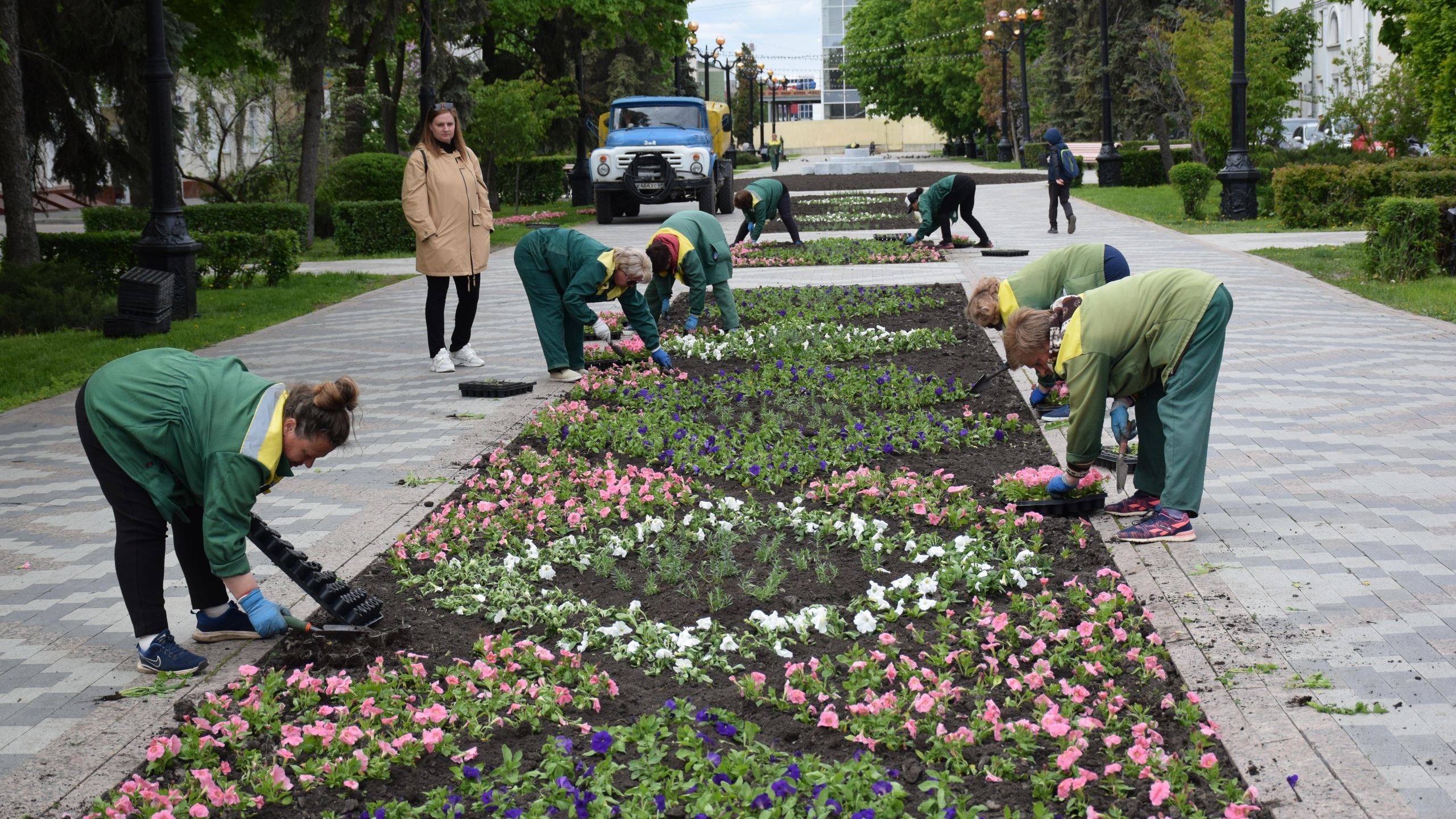 клумбы в москве 2020