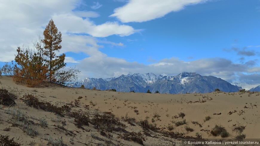 Чарские пески — самая северная пустыня