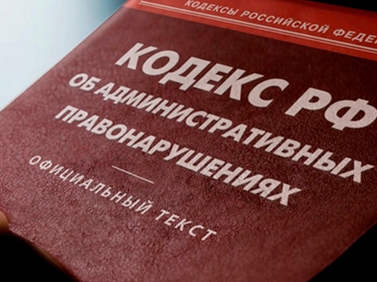 Житель Острова заплатит 1000 рублей за нецензурную брань в здании суда