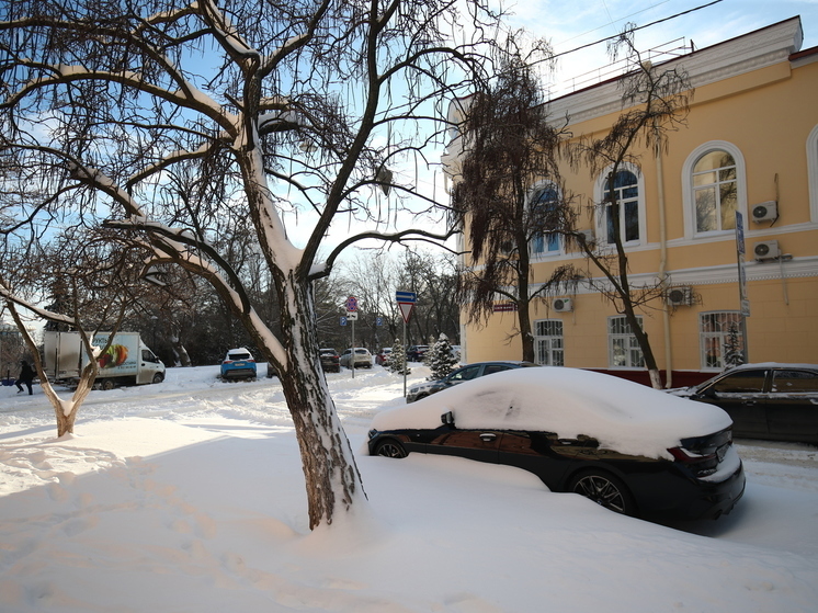 В Волгоградской области за зиму выпало 180% от нормы осадков
