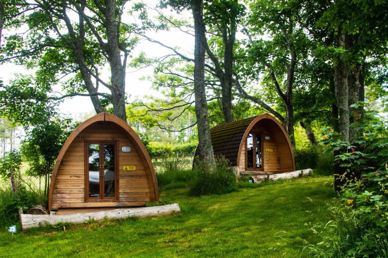 Москвичи резко заинтересовались новым видом туризма