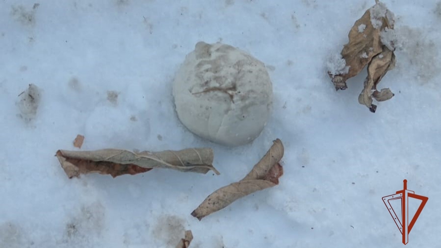 В Новосибирске сотрудники Росгвардии задержали подозреваемого в попытке сбыта наркотических средств в крупном размере