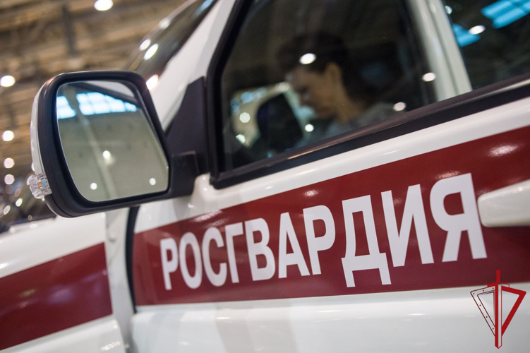 В Пскове наряд Росгвардии задержал подозреваемую в краже