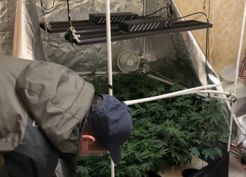 В Ивановской области задержали трех наркоагрономов 