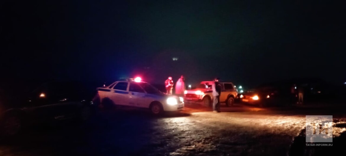 Ветеринарная служба. В атнинском районе упал. В атнинском районе упал. Новости казани. В атнинском районе упал.