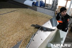 В России усовершенствуют зерновой терминал в порту Новороссийска