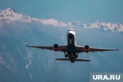 Николас Кейдж купил осьминога за 13,4 млн рублей, столько же стоит трешка в Центральном районе Челябинска 