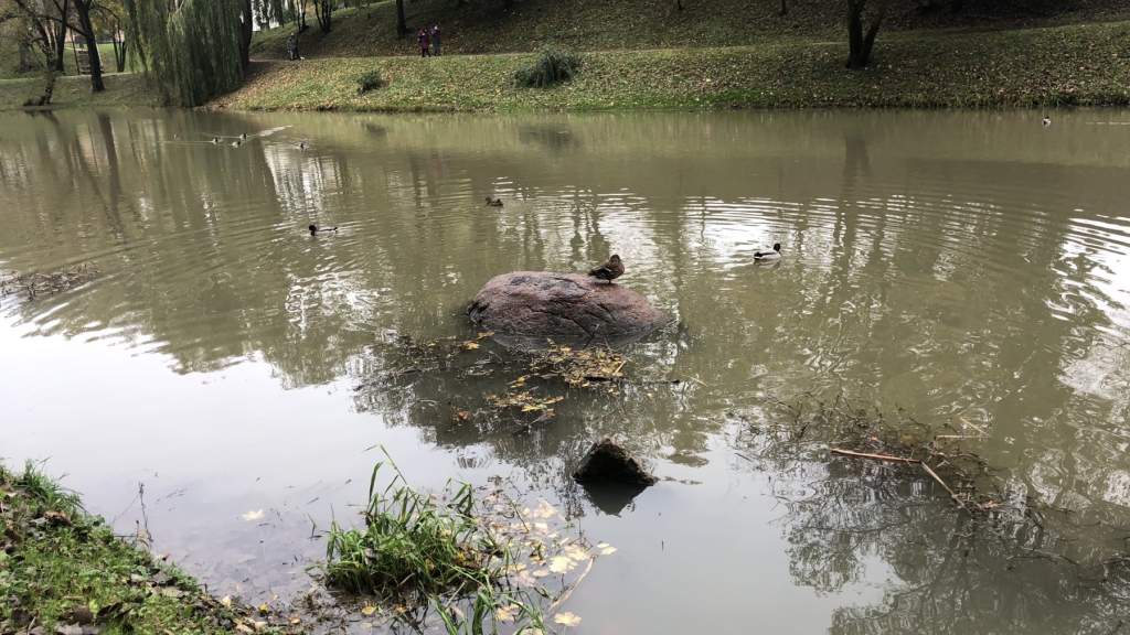УХОДЯЩАЯ ОСЕНЬ В ПАРКЕ КРЕТИНГИ