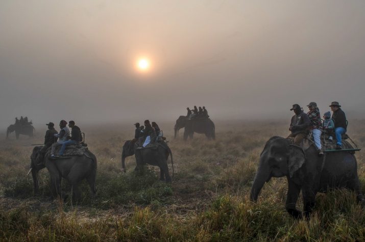 В Национальном парке Казиранга экспедиция передвигалась на слонах, штат Ассам. Фото: Леонид Круглов