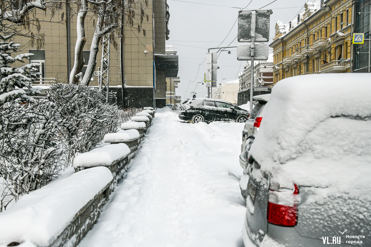 Девушка на обрыве. Веточки деревьев зимой. Циклон на сахалине. Девушка отпускает птицу. Презентация на тему эльтонский природный парк география.