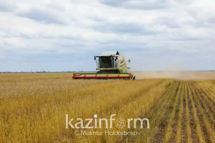 Сотрудничество Казахстана и Евросоюза в сельском хозяйстве Ербол Карашукеев обсудил в Бельгии
