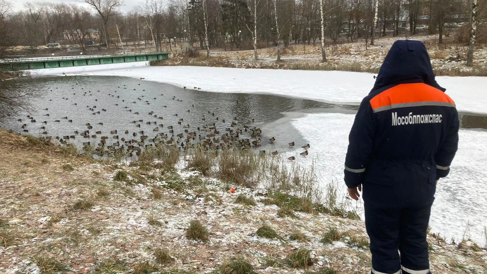 Речка нахабинка. Дедовск мельница на реке нахабинка. Нахабинка в красно. Река нахабинка московская область. Речка нахабинка.