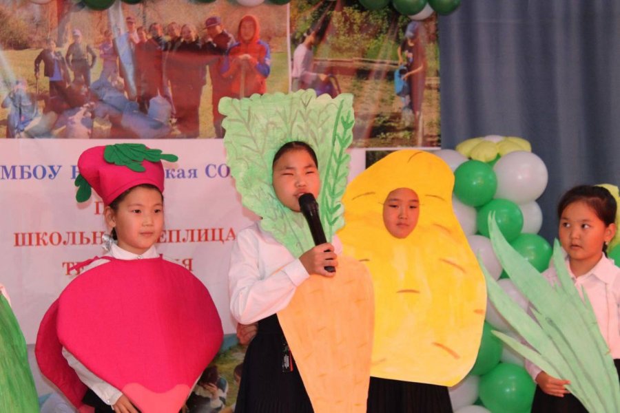 В Тес-Хемском районе Тувы инициативные родители открыли школьную теплицу