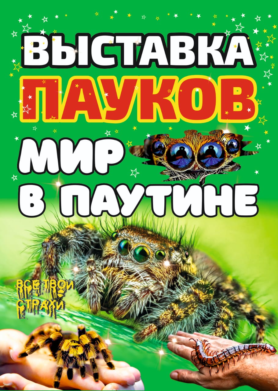 Выставка пауков матрешка