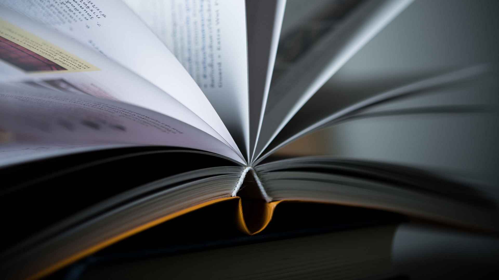 Петербург зажигает книжный маяк