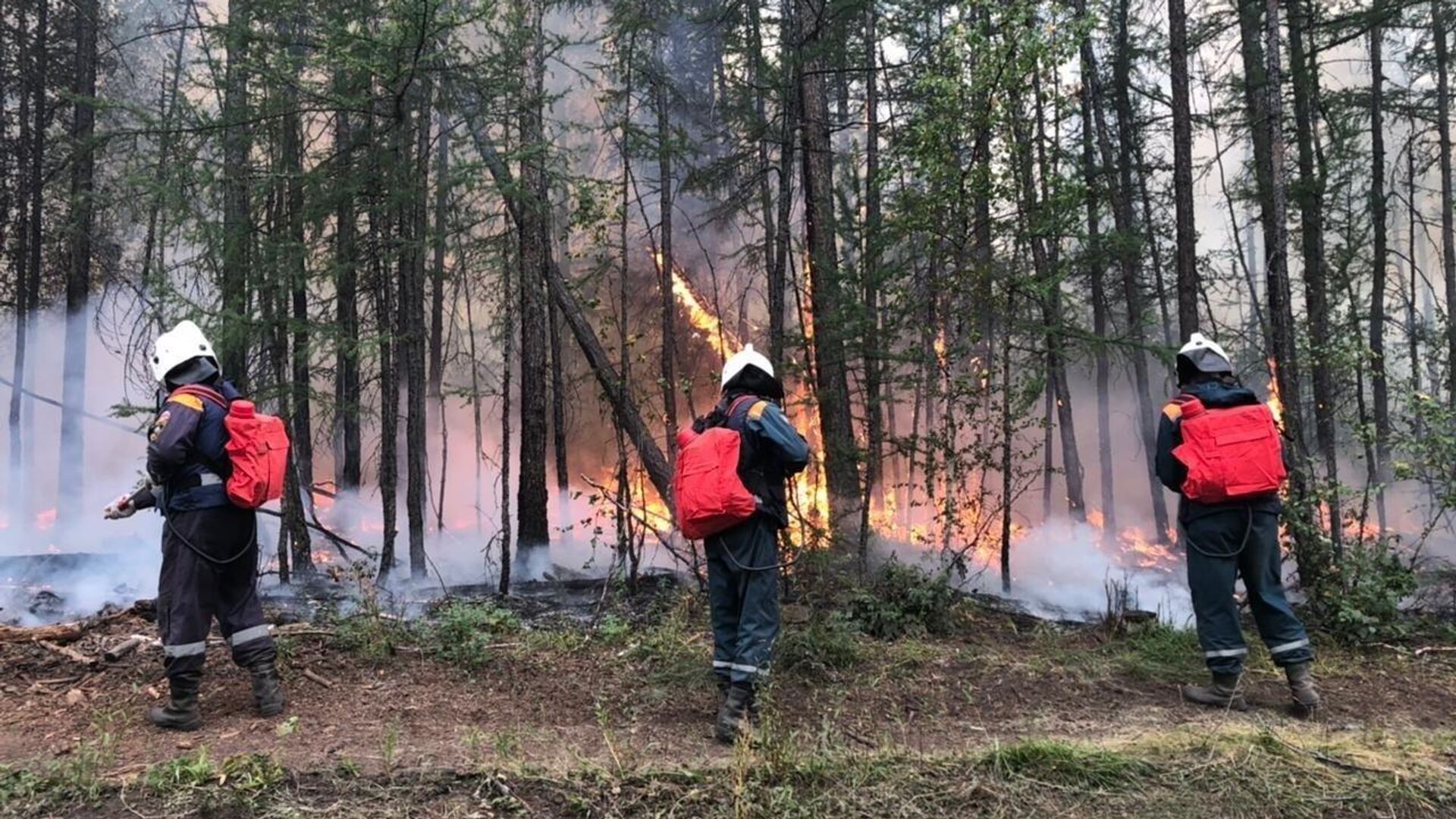 Чс из за пожаров. Лесные пожары в Якутии 2021. Якутск пожары 2021. Тушение лесных пожаров в Якутии.