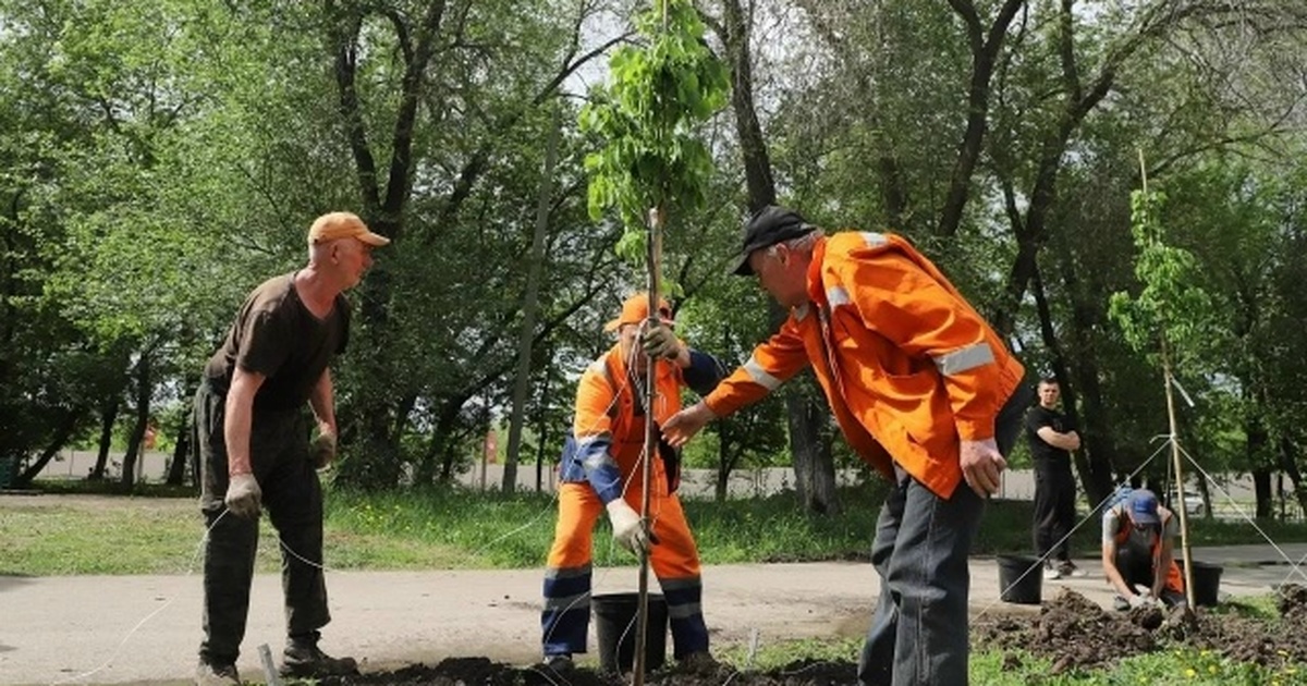 Озеленение продолжится с учетом погодных услови...