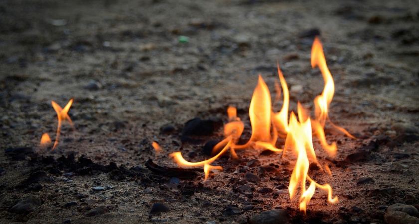 Власти Коми утвердили план тушения лесных пожаров на 2025 год 