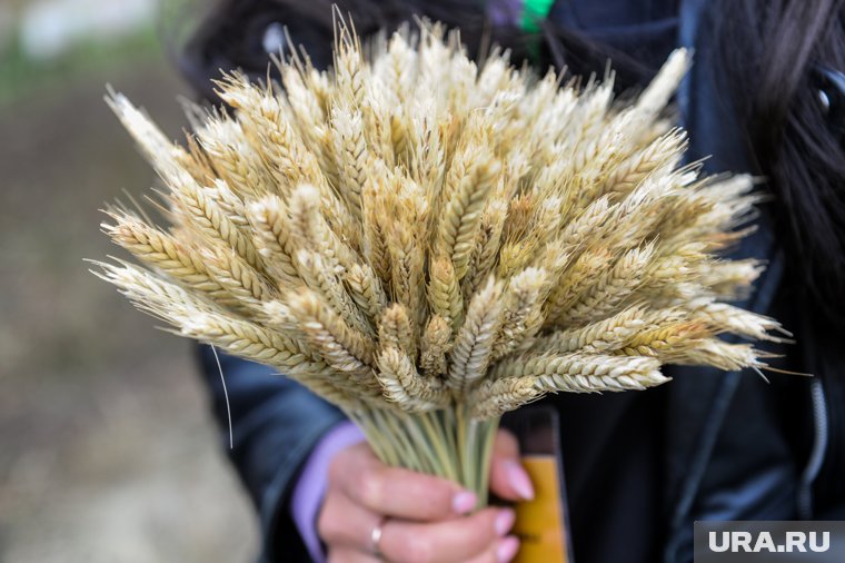 Особое внимание в этот день уделялось полевым духам