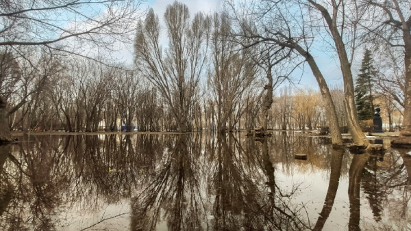 Озеро в парке Металлургов начнут восстанавливать в 2024 году