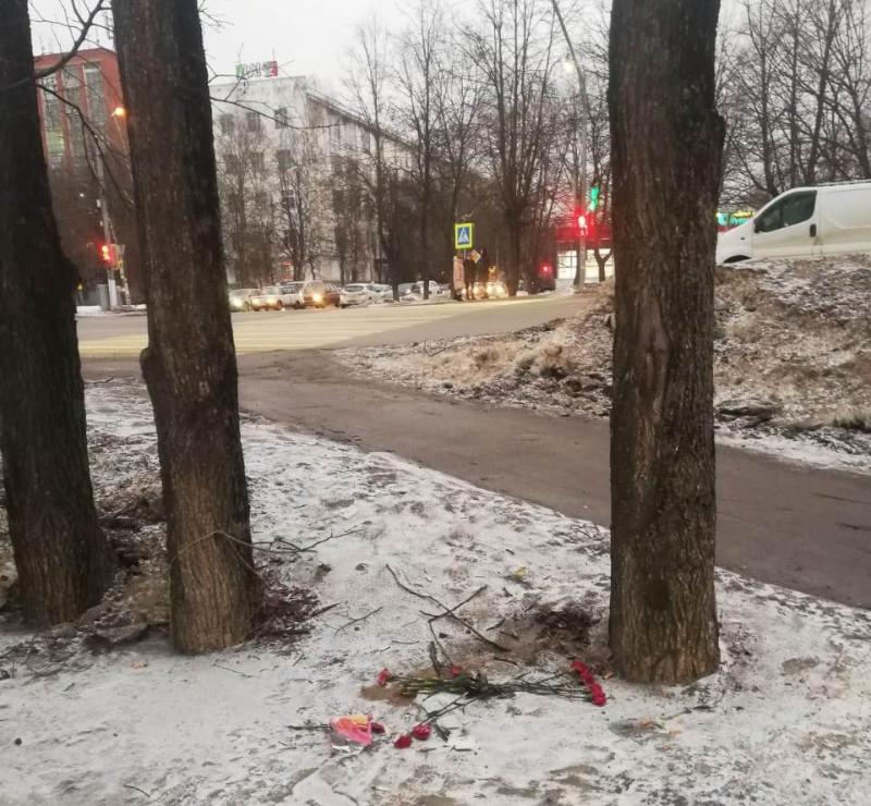 Чехов происшествия последние новости